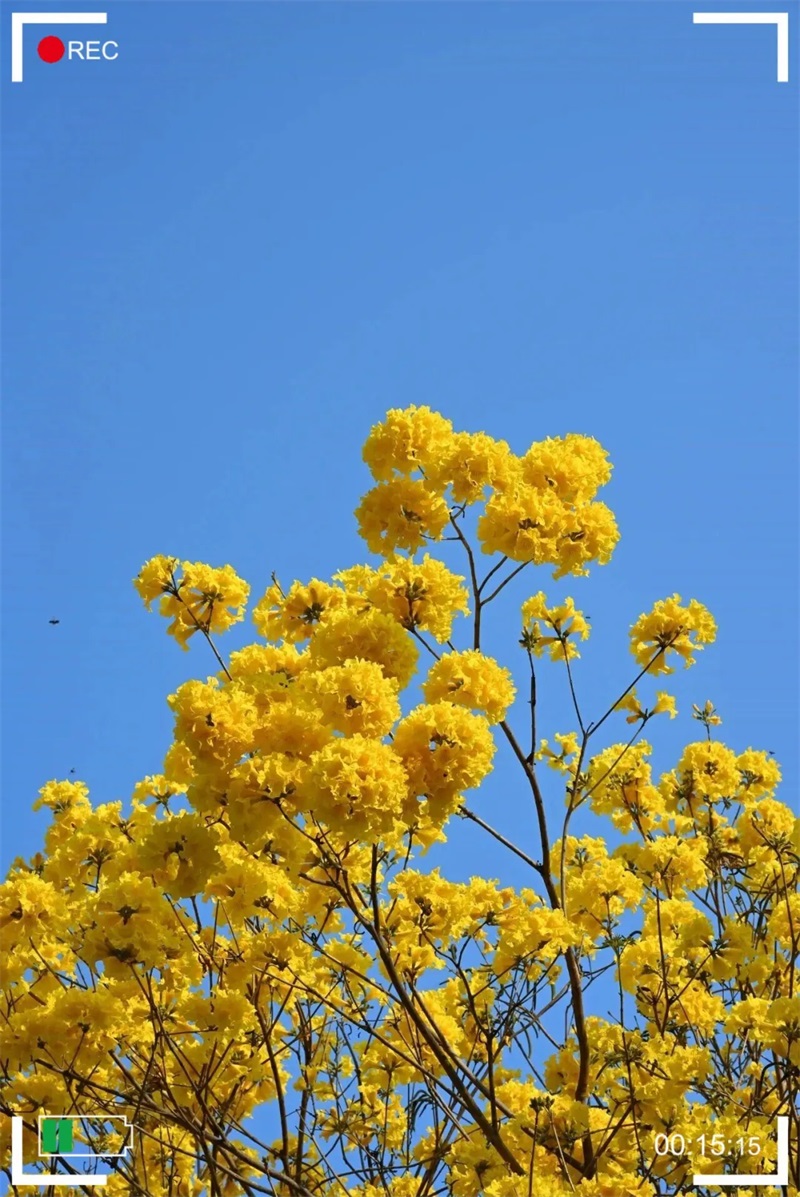 P_014.jpg
