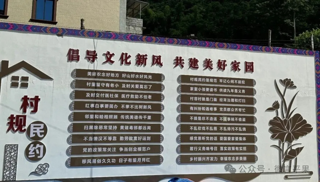 P_005.jpg